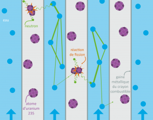 Modération des neutrons © CRIIRAD